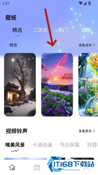 Quin壁纸