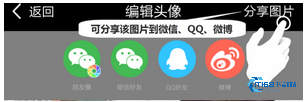 逗拍老版本