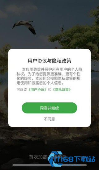动物世界
