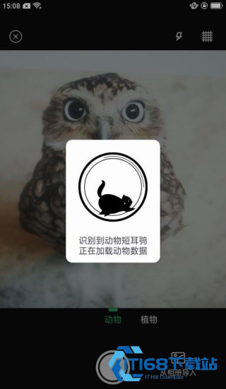 动物世界