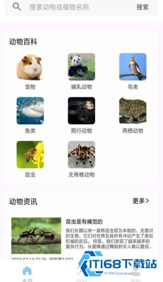 动物世界