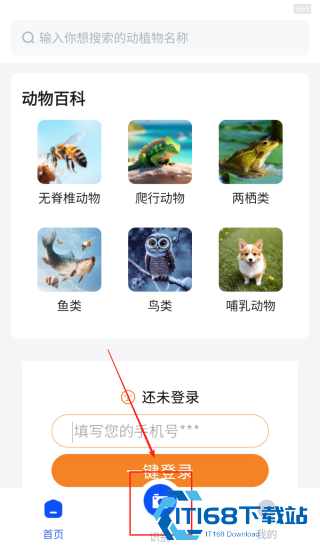 动物世界