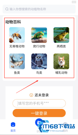 动物世界