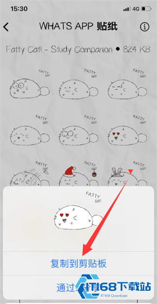 fatty cat