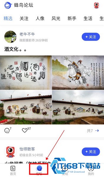 蜂鸟摄影