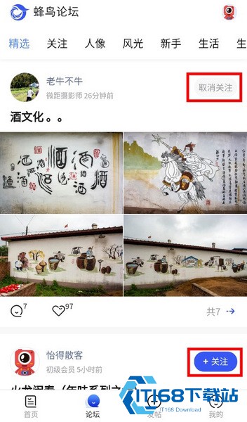 蜂鸟摄影