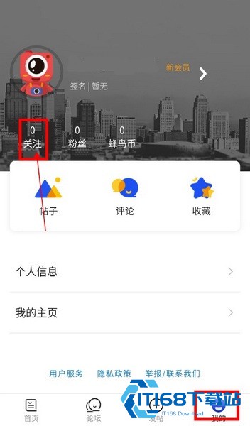 蜂鸟摄影