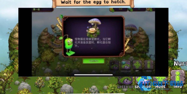 怪兽合唱团
