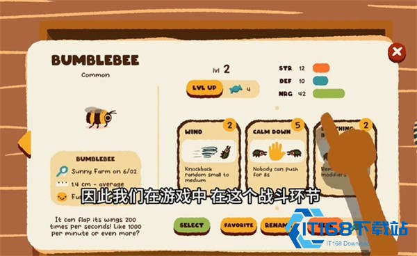 斗虫公园