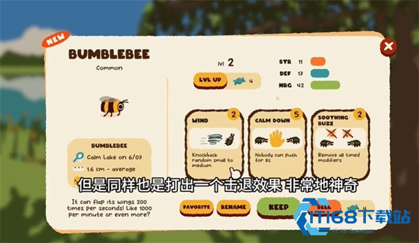 斗虫公园