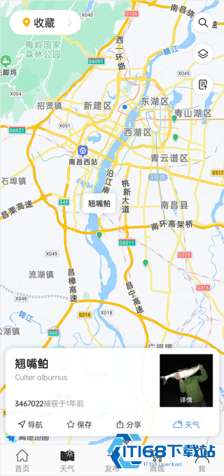 渔获