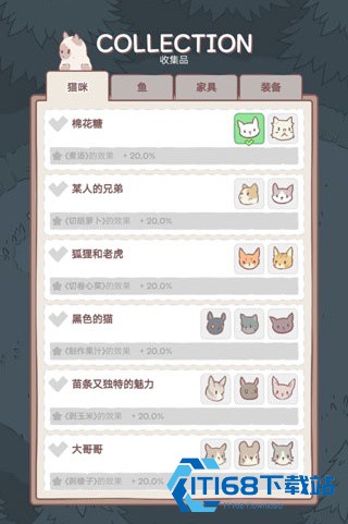 猫咪和汤国际服
