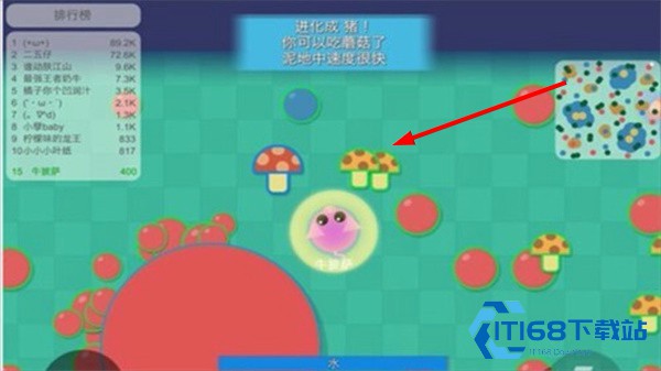 丛林大作战单机版