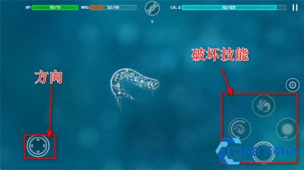 细胞起源