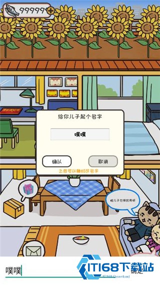 离家的猫
