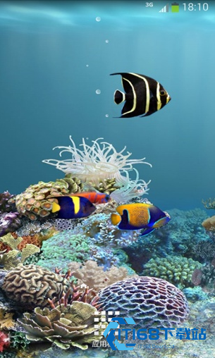水族馆动态壁纸汉化版