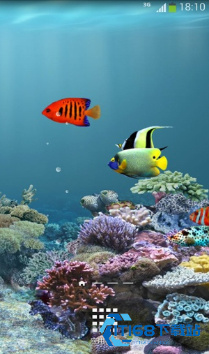 水族馆动态壁纸汉化版