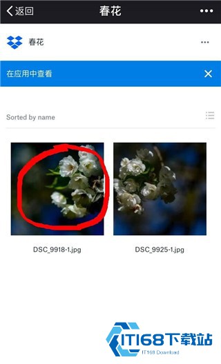 Dropbox安卓版
