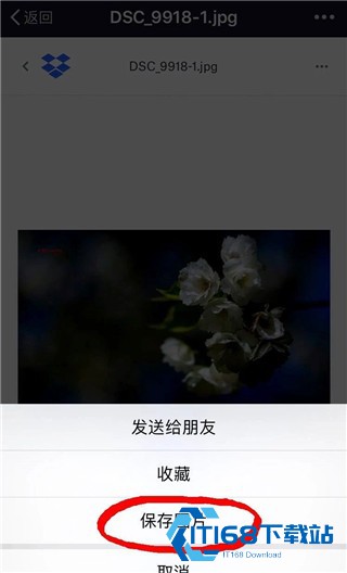 Dropbox安卓版