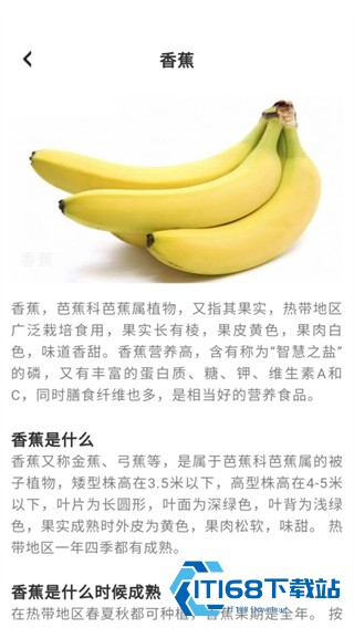 趣点美食安卓版