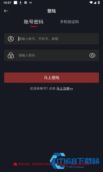 网飞猫