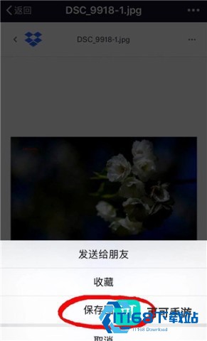Dropbox 第5张图