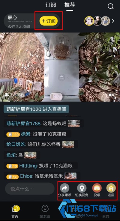 猫咪社区