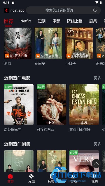 网飞猫