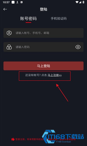 网飞猫