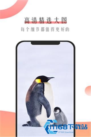 米柚壁纸