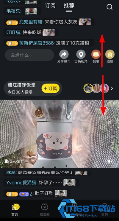 猫咪社区