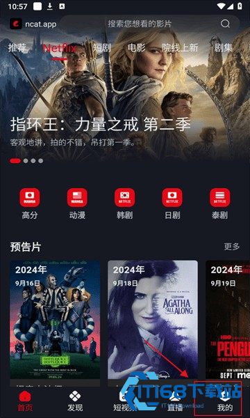 网飞猫