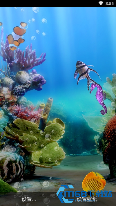 水族馆动态壁纸