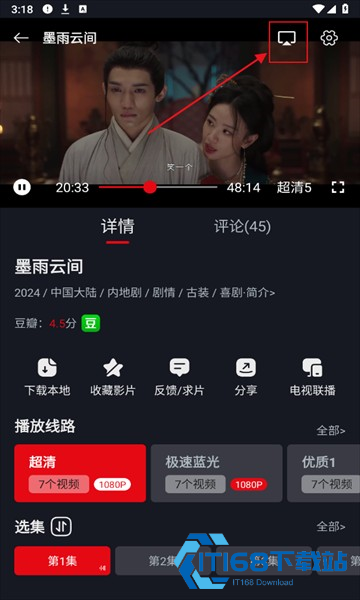网飞猫