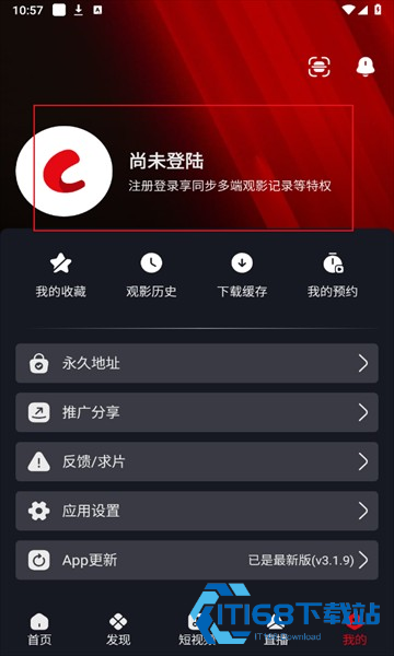 网飞猫