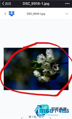 Dropbox 第4张图