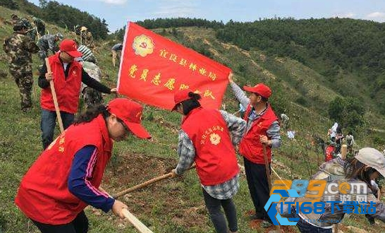 志愿中国app2021志愿者官方注册登录平台