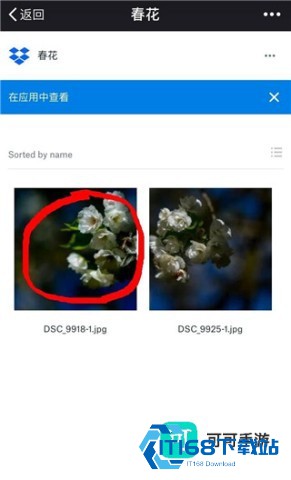 Dropbox 第3张图