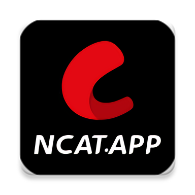 网飞猫官方版 v3.6.2