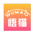 悟猫 