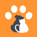 财猫双犬 