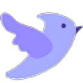 快鸟下载 