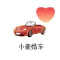 小豪婚车 