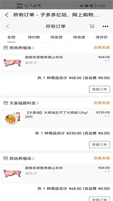 子多多亿站