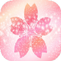 樱花壁纸 