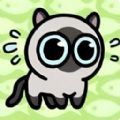 丛林冒险猫 