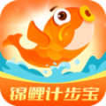 锦鲤计步宝 
