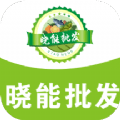 晓能批发 