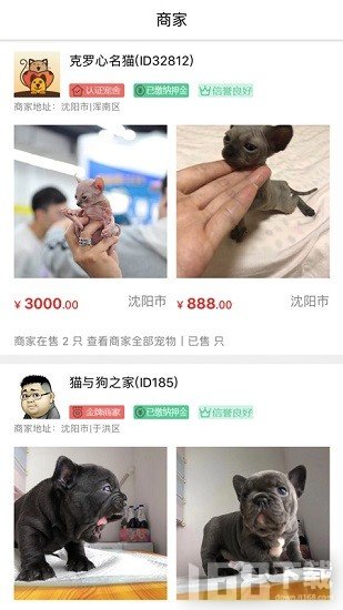 猫行狗市宠物交易市场