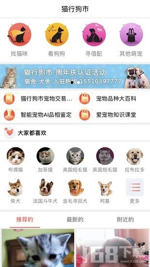 猫行狗市宠物交易市场